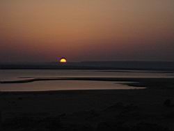 Fayoum - Wadi rayan 026.jpg